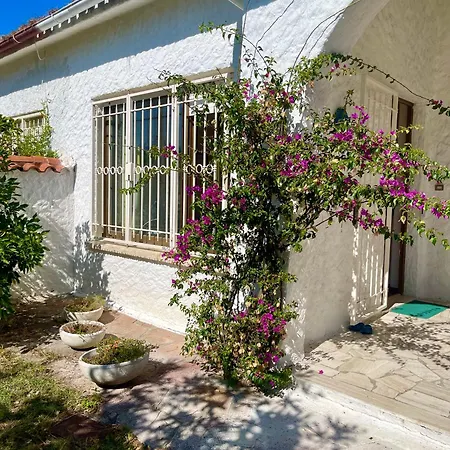 N270 - Numana, Viletta Quadrilocale Con Giardino * Numana