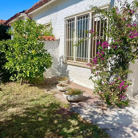 N270 - Numana, Viletta Quadrilocale Con Giardino * Numana